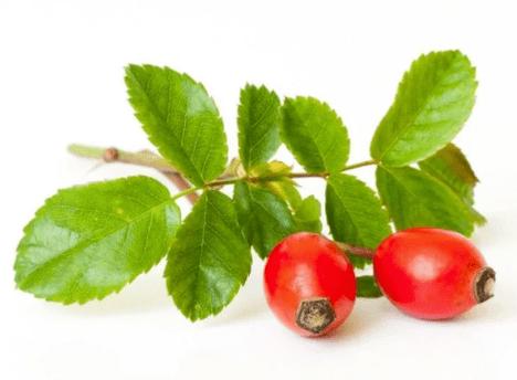 rosehip In Gluconol